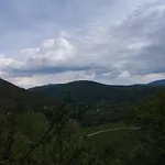 Iman * Bihać